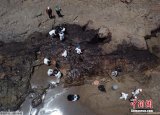 汤加火山喷发波及秘鲁 船舶漏油污染海滩