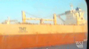 TMT_AWhale_Libya700.gif