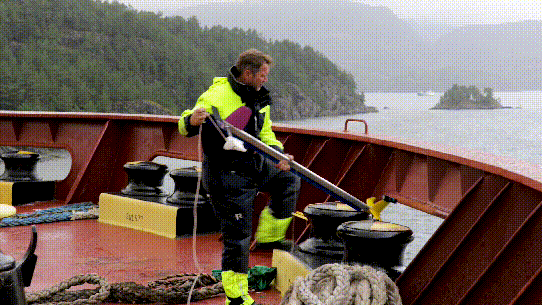 Shipshave ITCH 3.5 min 2.gif