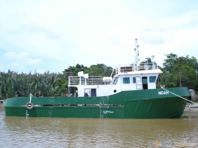 LKM804--NOAH.JPG