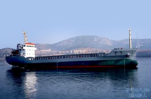 2,600DWT Bulk Carrier.jpg