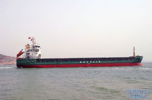 6,400DWT Multi Purpose Cargo Ship.jpg