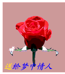 玫瑰花gif图片