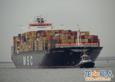 msc tomoko 04-03-07.jpg