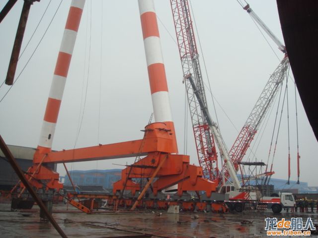 crane 010.jpg