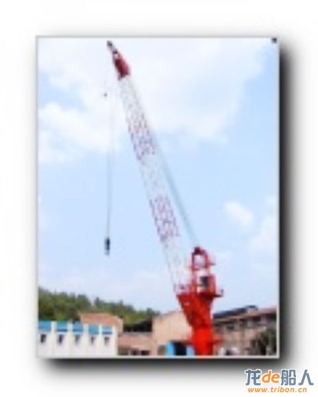 Lattice-type Boom Offshore Crane(Compact-type).jpg