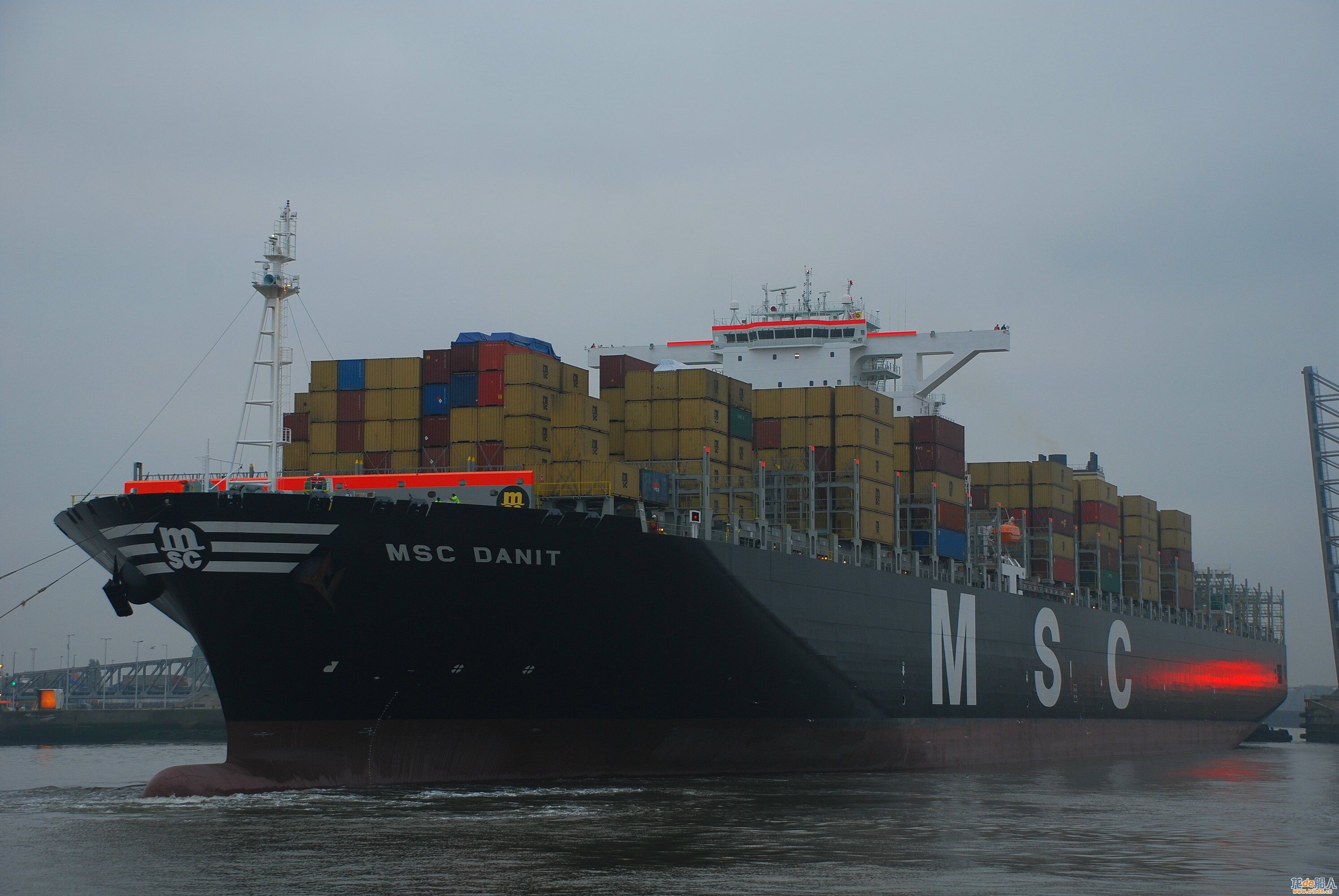 Ship Photo MSC DanitCAUN7VHD.jpg