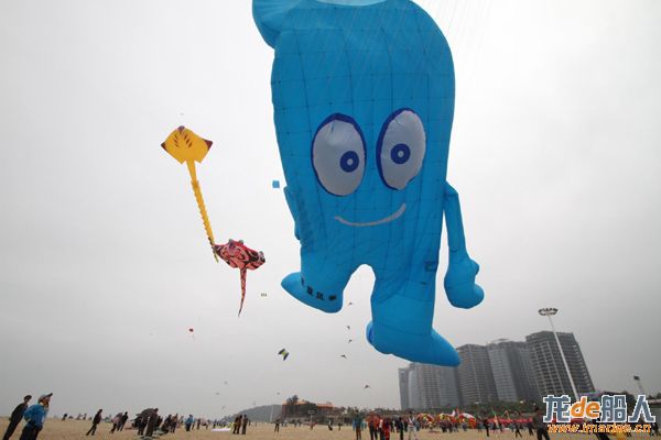 s go fly a kite in Xiamen.jpg