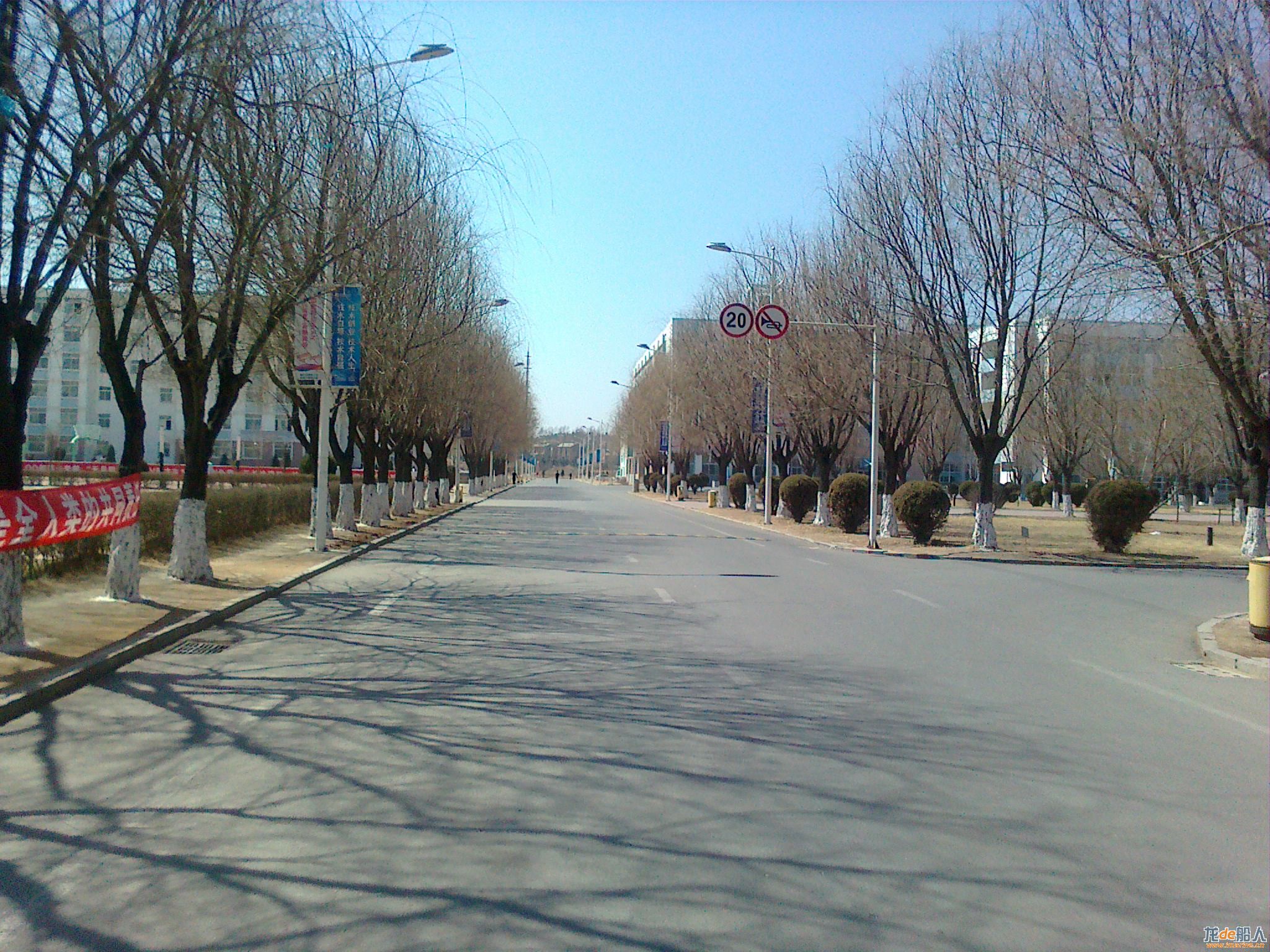 20110403075.jpg