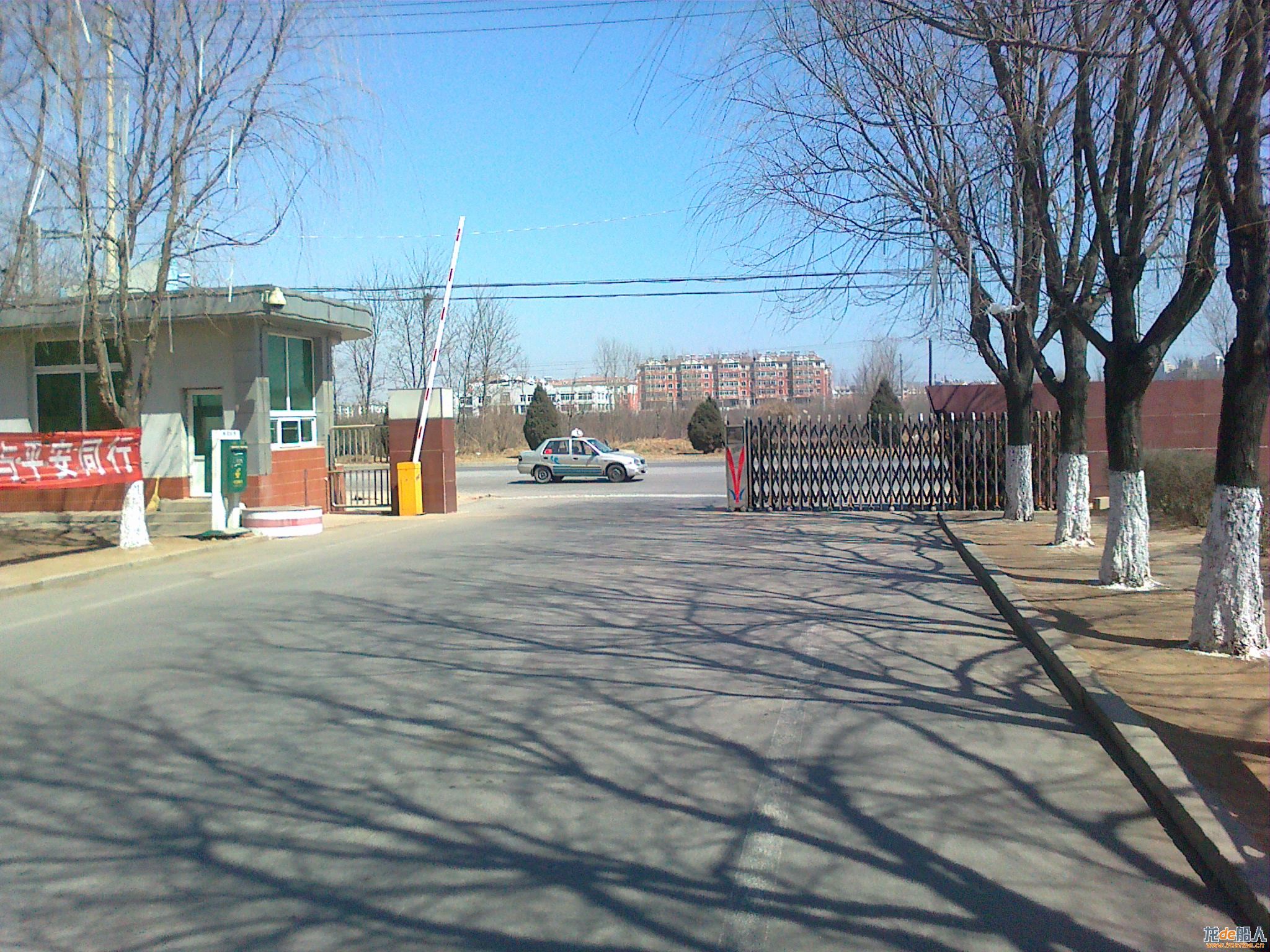 20110403077.jpg