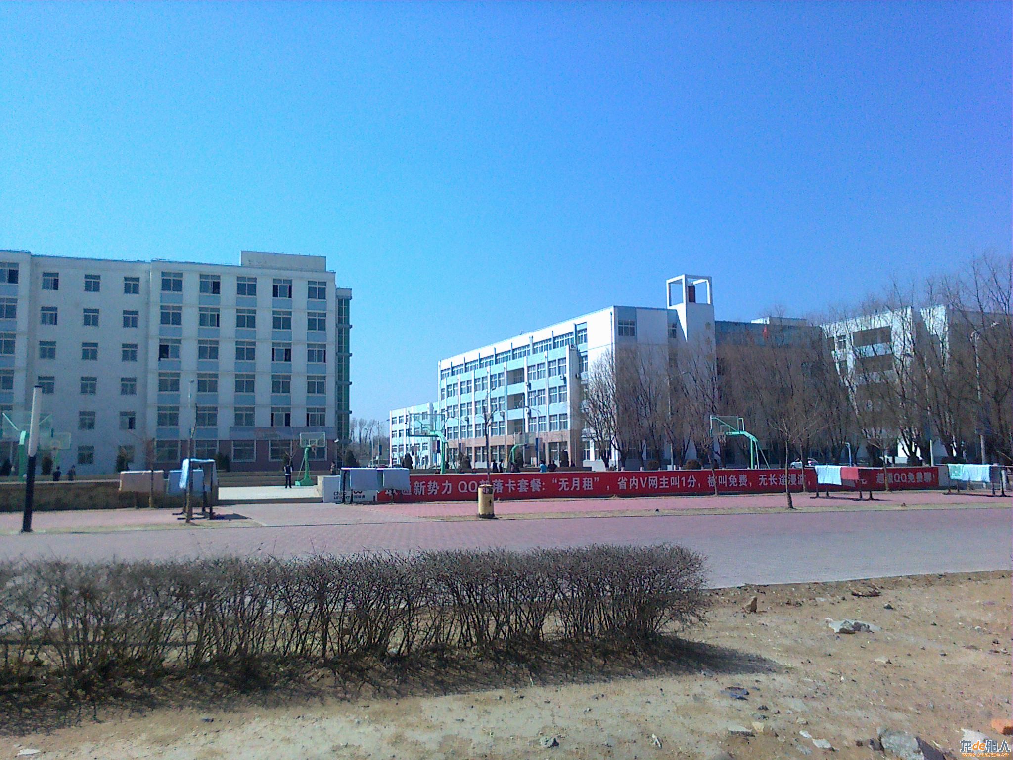 20110403074.jpg