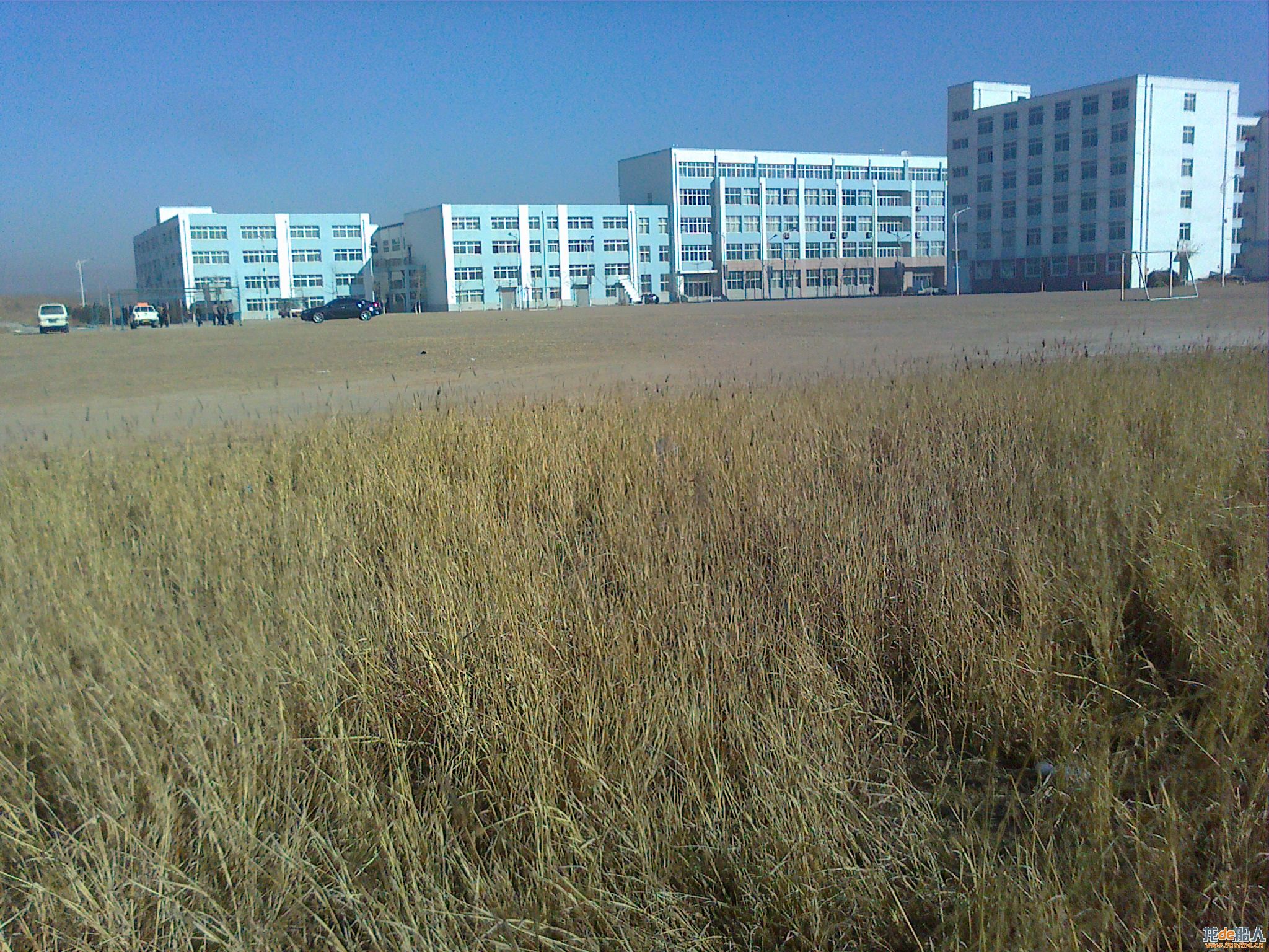 20110403041.jpg