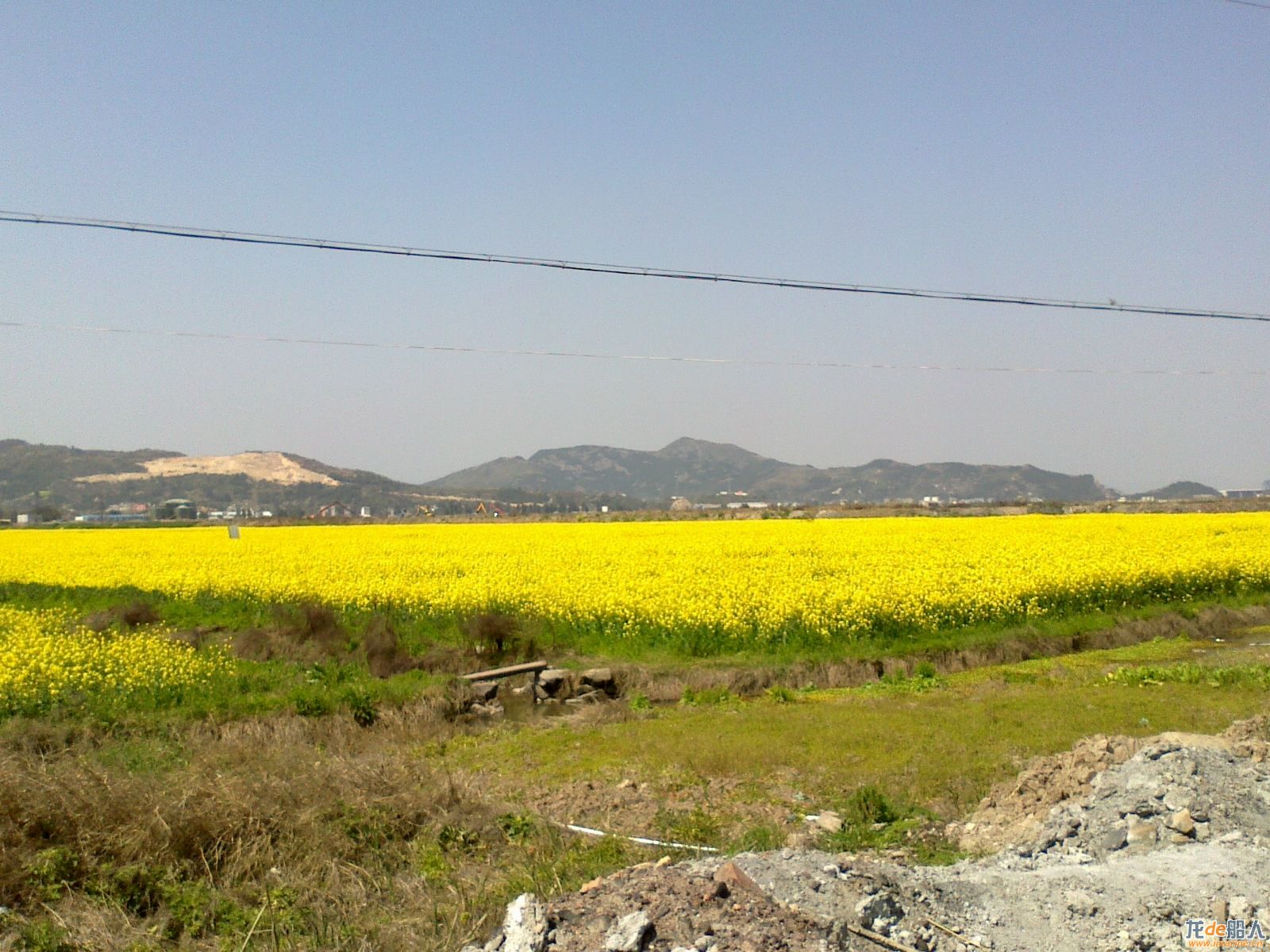 20110405044.jpg